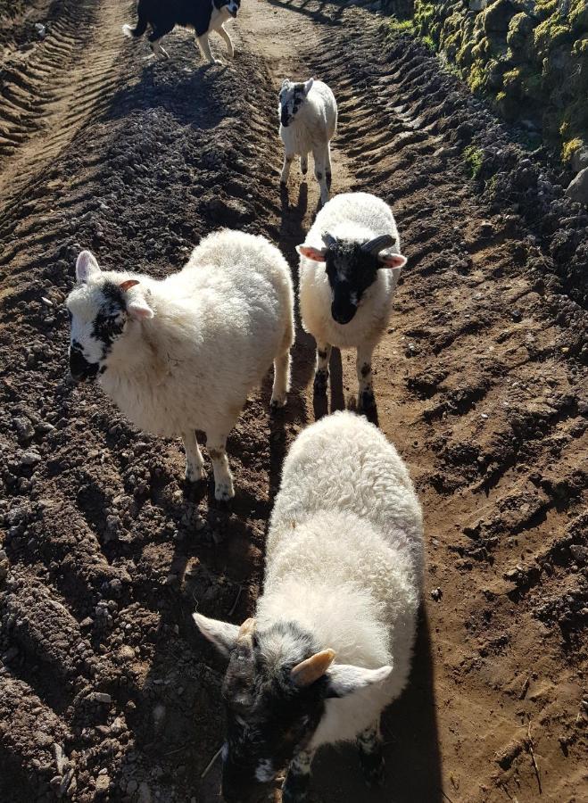 Shadow River Farm Anascaul 외부 사진